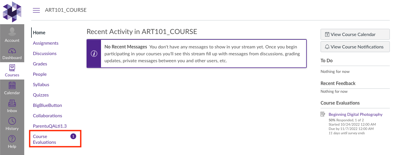 Student_LTI_Course_Link.png